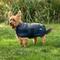 Show in main carousel: WeatherBeeta ComFiTec Classic Waterproof Dog Coat, Charcoal, 32-in slide 1 of 9