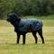 Show in main carousel: WeatherBeeta ComFiTec Classic Waterproof Dog Coat, Charcoal, 32-in slide 2 of 9