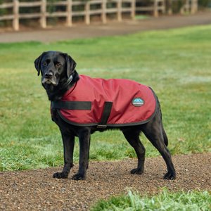 WeatherBeeta ComFiTec Classic Waterproof Dog Coat, Burgundy, 20-in