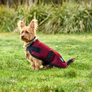 WeatherBeeta ComFiTec Classic Waterproof Dog Coat, Burgundy, 20-in