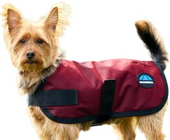 WeatherBeeta ComFiTec Classic Waterproof Dog Coat, Burgundy, 22-in slide 2 of 7