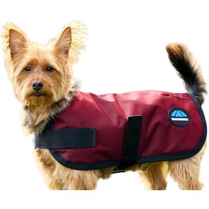 WeatherBeeta ComFiTec Classic Waterproof Dog Coat, Burgundy, 20-in