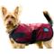 Show in main carousel: WeatherBeeta ComFiTec Classic Waterproof Dog Coat, Burgundy, 20-in slide 6 of 7