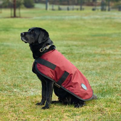 Show full view: WeatherBeeta ComFiTec Classic Waterproof Dog Coat, Burgundy, 20-in slide 2 of 7