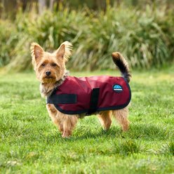 WeatherBeeta ComFiTec Classic Waterproof Dog Coat, Burgundy, 20-in