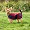 Show in main carousel: WeatherBeeta ComFiTec Classic Waterproof Dog Coat, Burgundy, 20-in slide 1 of 7