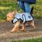 Show in main carousel: WeatherBeeta ComFiTec Reflective Showerproof Dog Coat, Silver, 18-in slide 4 of 6