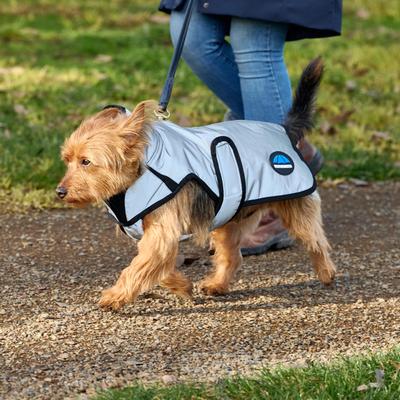 Show full view: WeatherBeeta ComFiTec Reflective Showerproof Dog Coat, Silver, 18-in slide 4 of 6