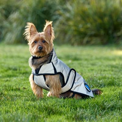 Show full view: WeatherBeeta ComFiTec Reflective Showerproof Dog Coat, Silver, 18-in slide 3 of 6