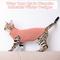 Show in main carousel: NANAKI Dog & Cat Sweater, Pink, Medium slide 6 of 8