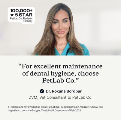 Show full view: PetLab Co. Prebiotic Dental Sticks Dog Dental Chews, 6 count slide 4 of 11