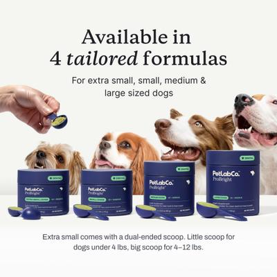 Show full view: PetLab Co. ProBright Dog Dental Powder for Medium Dogs slide 6 of 11