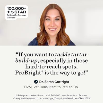 Show full view: PetLab Co. ProBright Dog Dental Powder for Medium Dogs slide 4 of 11