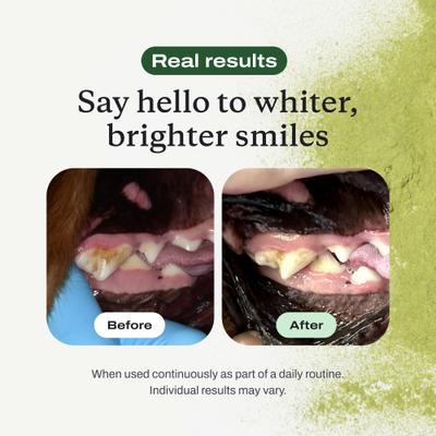 Show full view: PetLab Co. ProBright Dog Dental Powder for Large Dogs slide 10 of 11