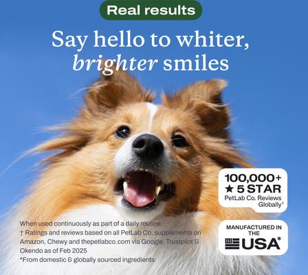 Show full view: PetLab Co. Dental Formula Dog Dental Water Additive, 8-fl oz bottle slide 7 of 10