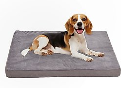 LFC PETS Orthopedic Memory Foam Dog & Cat Bed with Removable Cover, Grey, Large