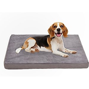 LFC PETS Orthopedic Memory Foam Dog & Cat Bed with Removable Cover, Grey, Large
