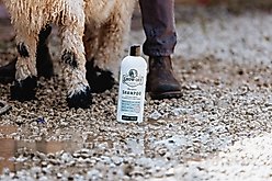 Show Off That Shine Livestock Shampoo, 32-fl oz bottle slide 2 of 4