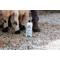 Show in main carousel: Show Off That Shine Livestock Shampoo, 32-fl oz bottle slide 4 of 4