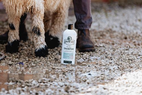 Show full view: Show Off That Shine Livestock Shampoo, 32-fl oz bottle slide 4 of 4