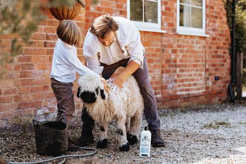 Show full view: Show Off That Shine Livestock Shampoo, 32-fl oz bottle slide 2 of 4
