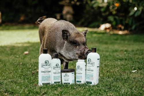 Show full view: Show Off Antimicrobial Farm Lotion Livestock Skin Lotion, 16-fl oz bottle slide 3 of 4