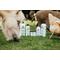 Show in main carousel: Show Off That Shine Livestock Conditioner, 32-fl oz bottle slide 4 of 4