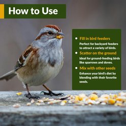 Old Potters Co. Wildlife White Millet Seed Wild Bird Food, 25-lb bag slide 2 of 5