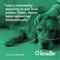 Show in main carousel: Kradle Daily Broad Spectrum Hemp Extract Chicken Flavored Soft Chew Calming Supplement for Dogs, 30-count slide 7 of 11