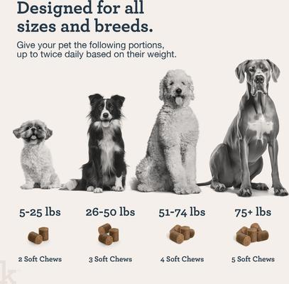 Show full view: Kradle Daily Calming Beef Liver Flavored Soft Chew Broad Spectrum Hemp Extract Calming Supplement for Dogs, 90 count slide 6 of 12