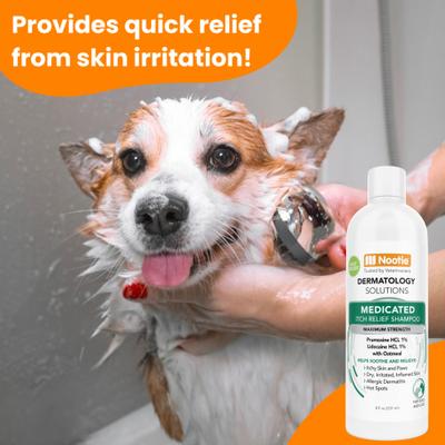 Show full view: Nootie Medicated Itch Relief Shampoo for Dogs & Cats, 8-fl oz bottle slide 5 of 9