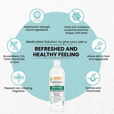 Show full view: Nootie Medicated Itch Relief Shampoo for Dogs & Cats, 8-fl oz bottle slide 4 of 9
