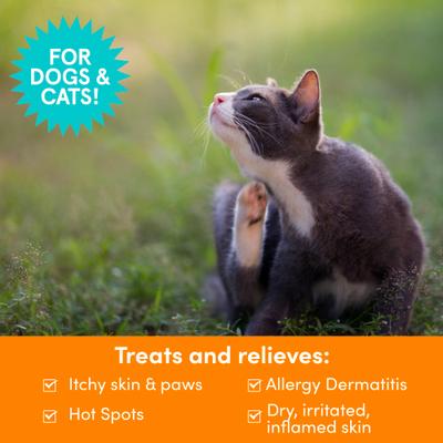 Show full view: Nootie Medicated Itch Relief Shampoo for Dogs & Cats, 8-fl oz bottle slide 3 of 9