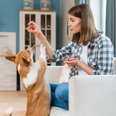 Show full view: True Tails Allergy Beef Flavored Allergy Supplement for Dogs, 120 count slide 5 of 7