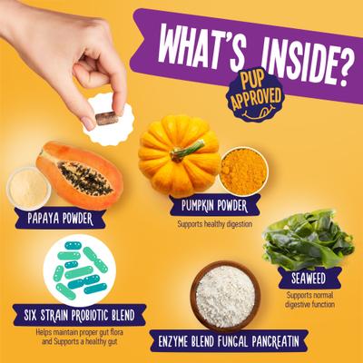 Show full view: True Tails Probiotic Beef Flavored Supplement for Dogs, 120 count slide 6 of 7