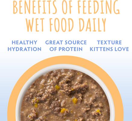 Show full view: Soulistic Kitten Chicken & Pumpkin Formula in Gravy Wet Cat Food, 3-oz can, case of 12 slide 6 of 11