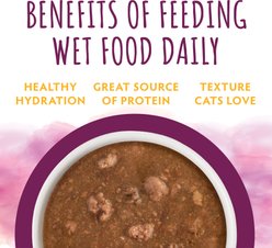 Soulistic Moist & Tender Mystic Menu Variety Pack Wet Cat Food, 3-oz can, case of 12 slide 2 of 9