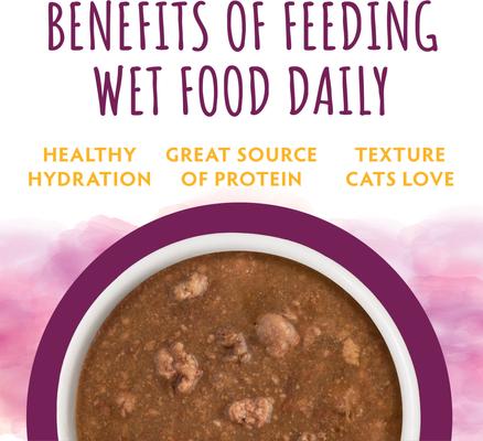 Show full view: Soulistic Moist & Tender Mystic Menu Variety Pack Wet Cat Food, 3-oz can, case of 12 slide 8 of 12