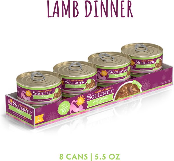Soulistic Moist & Tender Mindful Melodies Variety Pack Wet Cat Food