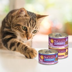 Soulistic Moist & Tender Beef Dinner in Gravy Wet Cat Food, 3-oz can, case of 12 slide 2 of 8