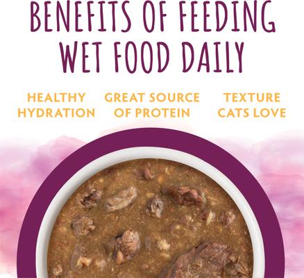 Show full view: Soulistic Moist & Tender Salmon Dinner in Gravy Wet Cat Food, 3-oz can, case of 12 slide 6 of 11