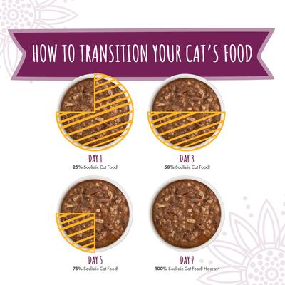 Show full view: Soulistic Moist & Tender Beef Dinner in Gravy Wet Cat Food, 5.5-oz can, case of 8 slide 9 of 11