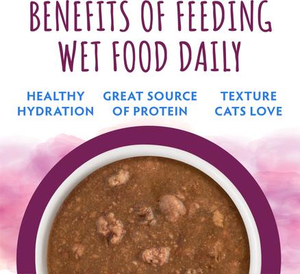 Show full view: Soulistic Moist & Tender Chicken Dinner in Gravy Wet Cat Food, 3-oz can, case of 12 slide 6 of 11