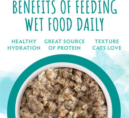 Show full view: Soulistic Originals Seaside Serenity Salmon & Tuna Dinner in Gravy Wet Cat Food, 3-oz can, case of 12 slide 6 of 11