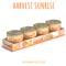 Show in main carousel: Soulistic Originals Harvest Sunrise Chicken & Pumpkin Dinner in Gravy Wet Cat Food, 5.5-oz can, case of 8 slide 3 of 11