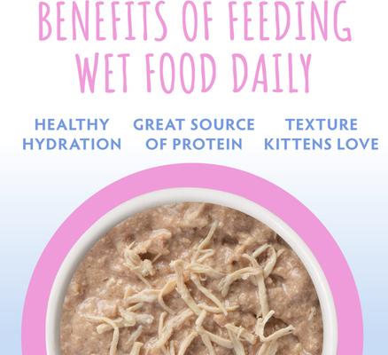 Show full view: Soulistic Kitten Kindred Kittens Variety Pack Wet Cat Food, 3-oz can, case of 12 slide 8 of 12