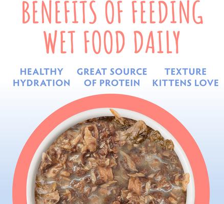 Show full view: Soulistic Kitten Tuna Formula in Gravy Wet Cat Food, 3-oz can, case of 12 slide 6 of 11