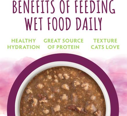 Show full view: Soulistic Moist & Tender Lamb Dinner in Gravy Wet Cat Food, 5.5-oz can, case of 8 slide 6 of 11