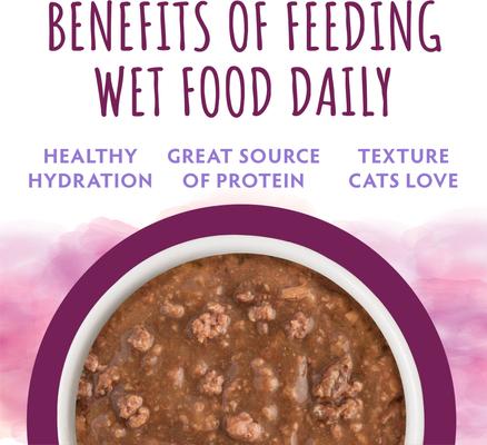 Show full view: Soulistic Moist & Tender Beef Dinner in Gravy Wet Cat Food, 3-oz can, case of 12 slide 6 of 11