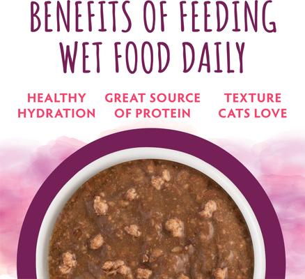 Show full view: Soulistic Moist & Tender Duck Dinner in Gravy Wet Cat Food, 3-oz can, case of 12 slide 6 of 11